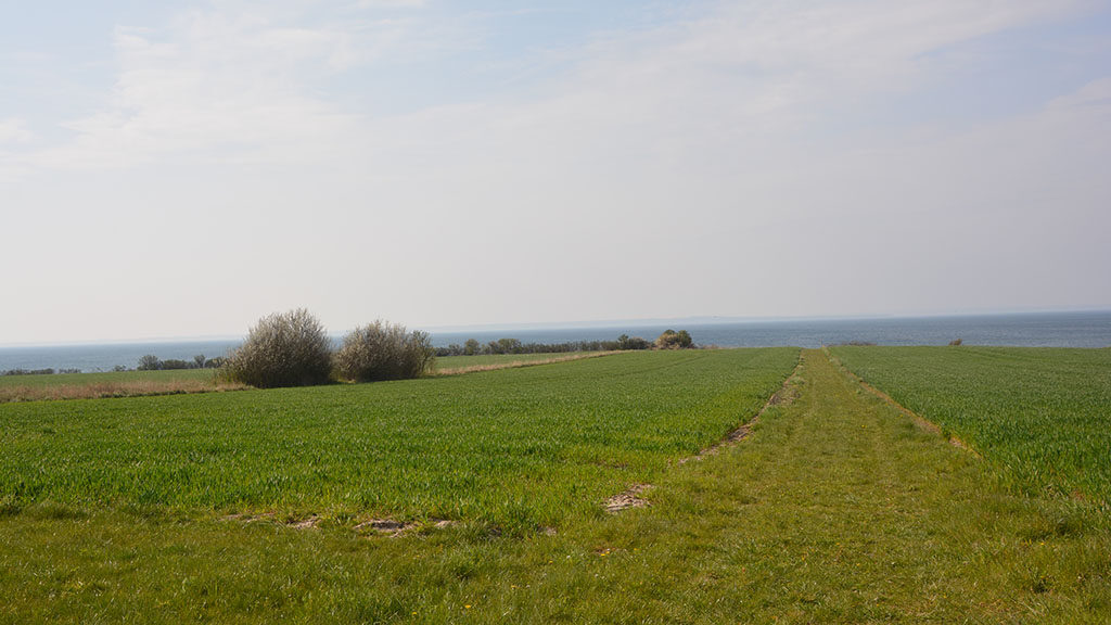 Strandlykken med udsigt