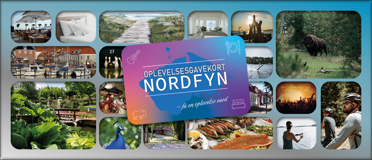 Oplevelsesgavekort nordfyn banner