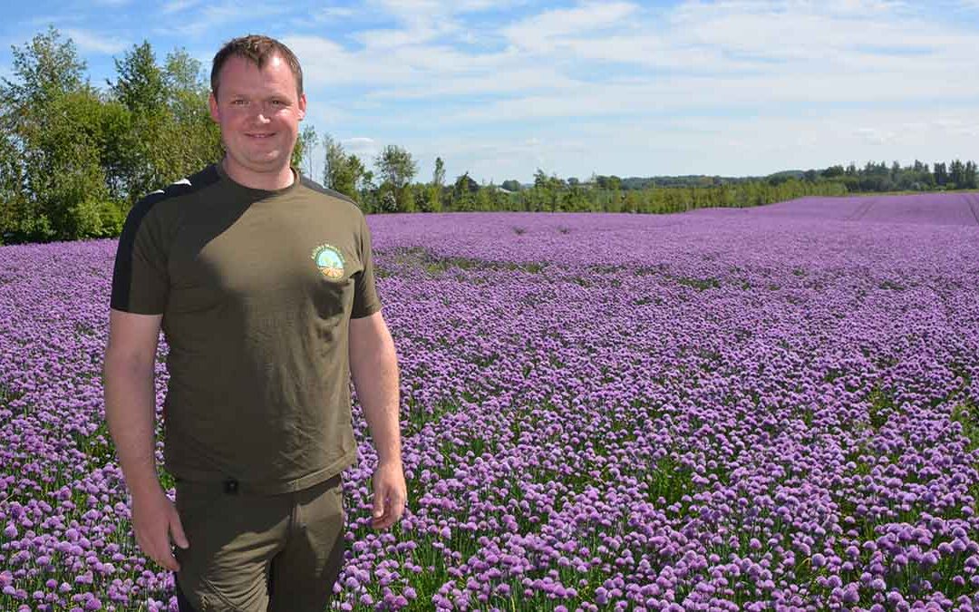 En vejbod – og så alt det andet…