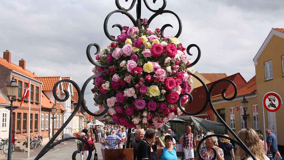 rosenfestival adelgade