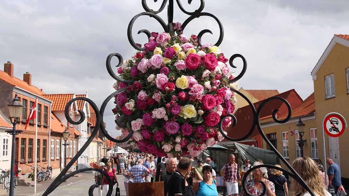 rosenfestival adelgade