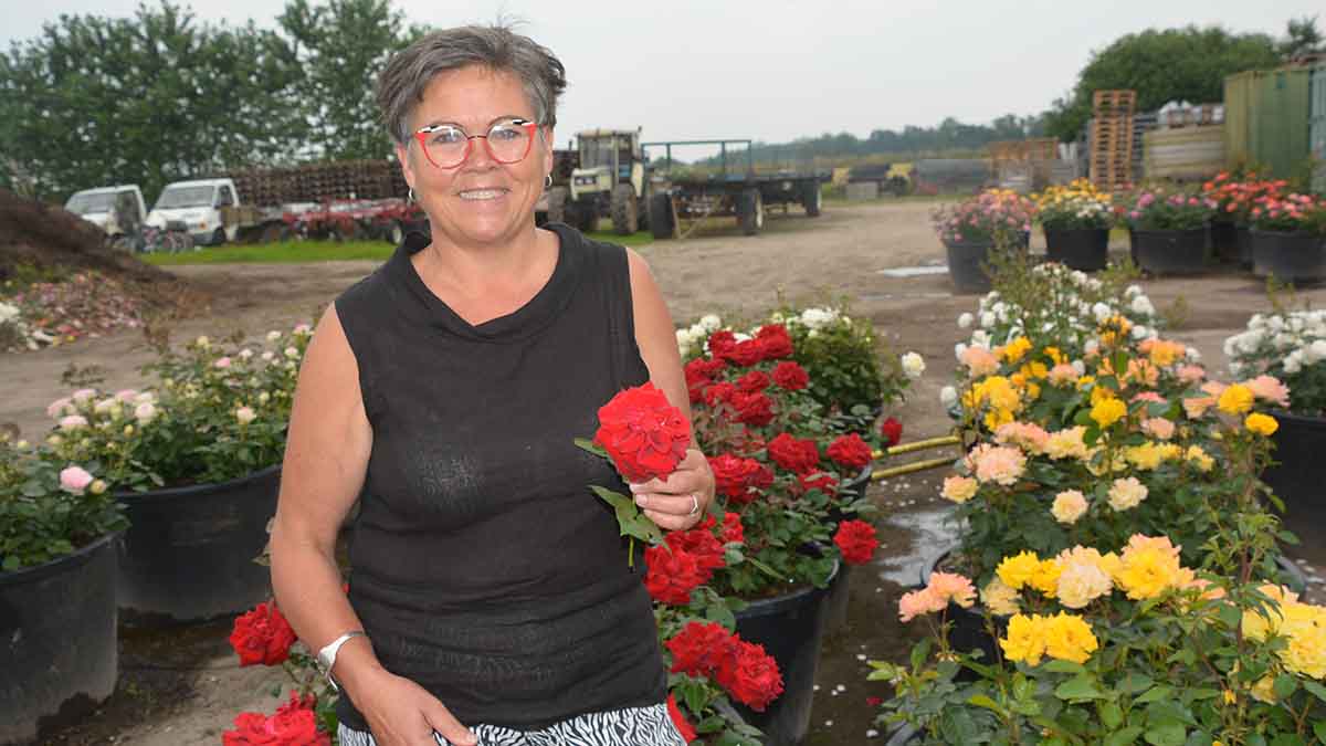 jette fra rosenfestival