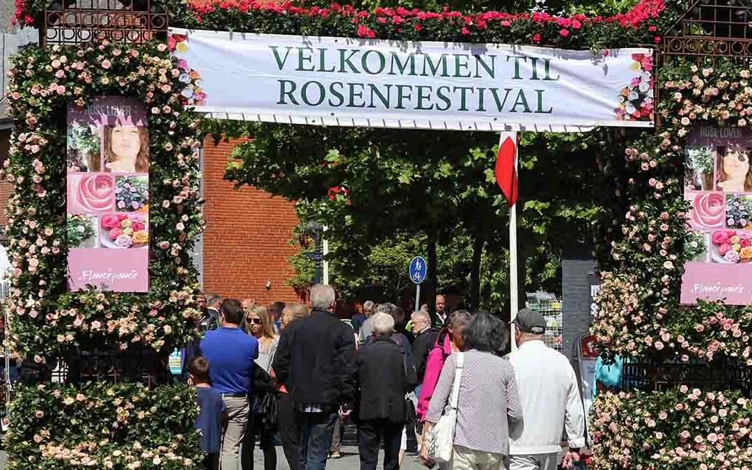 Rosenfestival velkommen