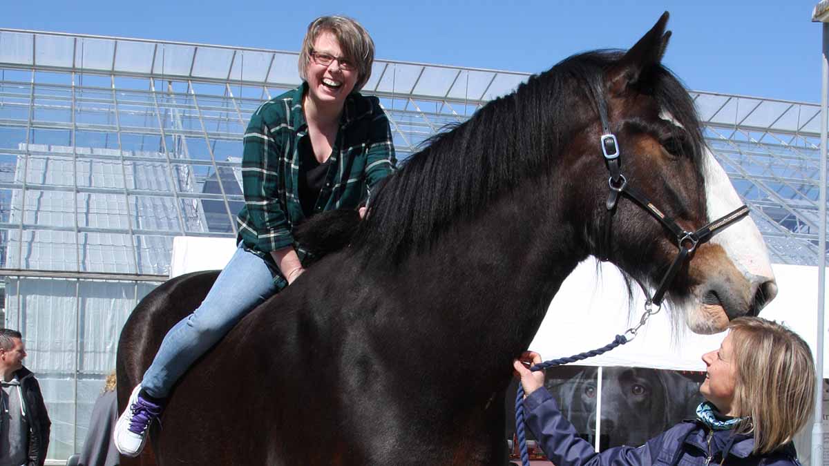 Rie, højt til hest ifb. med 10 års jubilæet i 2015.