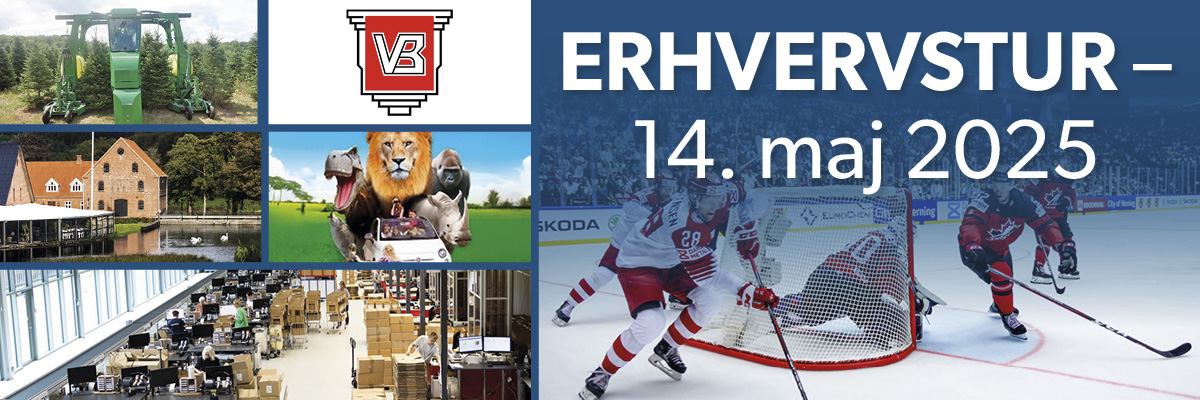 erhvervstur