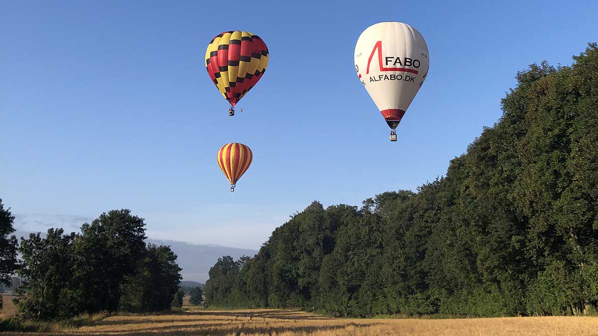 DreamBalloon Cup