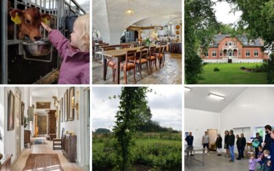 Guidede ture på Nordfyn skaber værdi for både gæster og virksomheder
