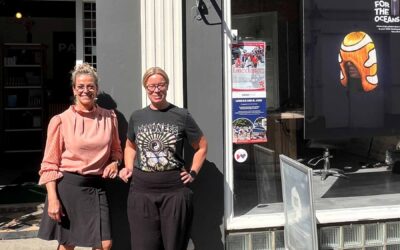 Park Styling i Bogense: Små skridt – reel effekt